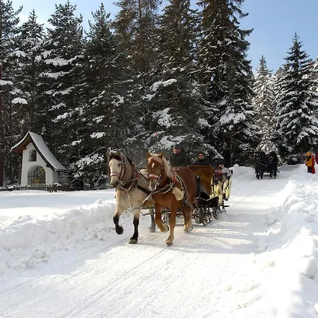 Xander 4* ロイタシュ