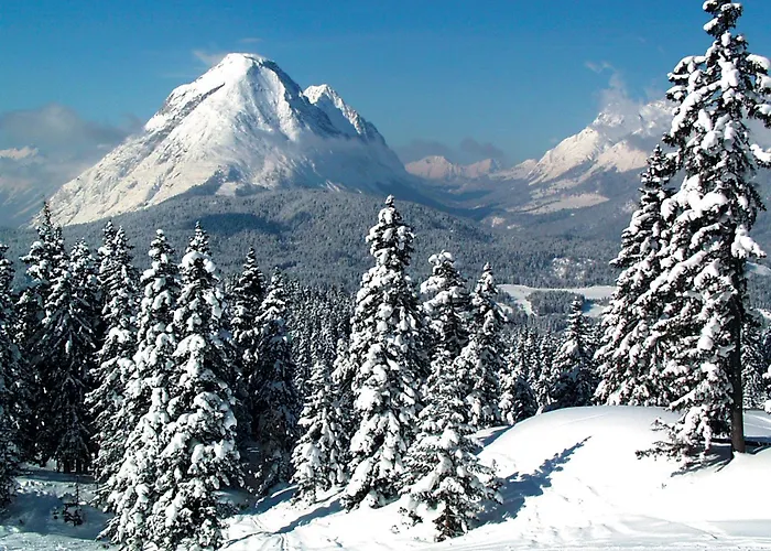 Xander فندق لوتاش