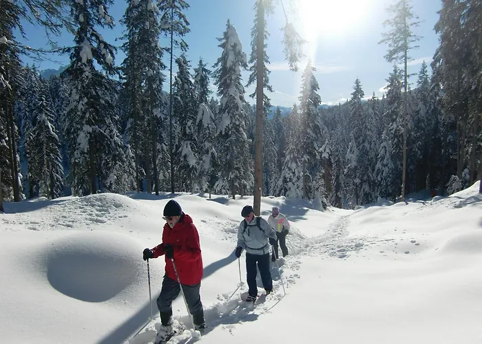 Отель Xander 4*