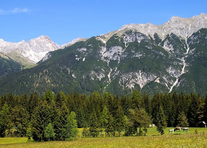 Xander Отель Лойташ