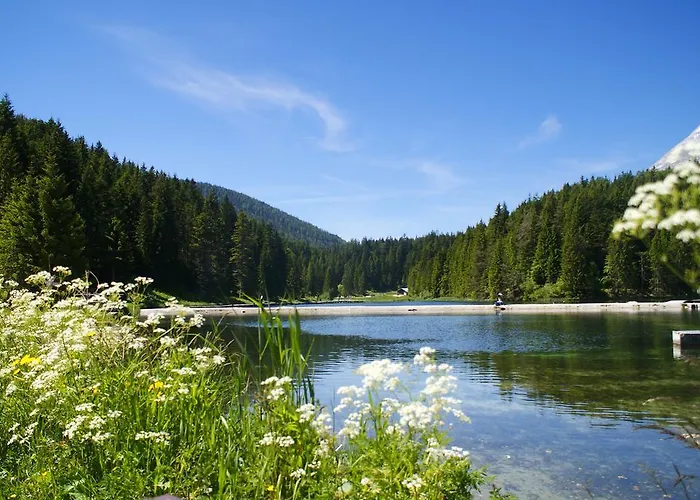 Xander 4* Лойташ